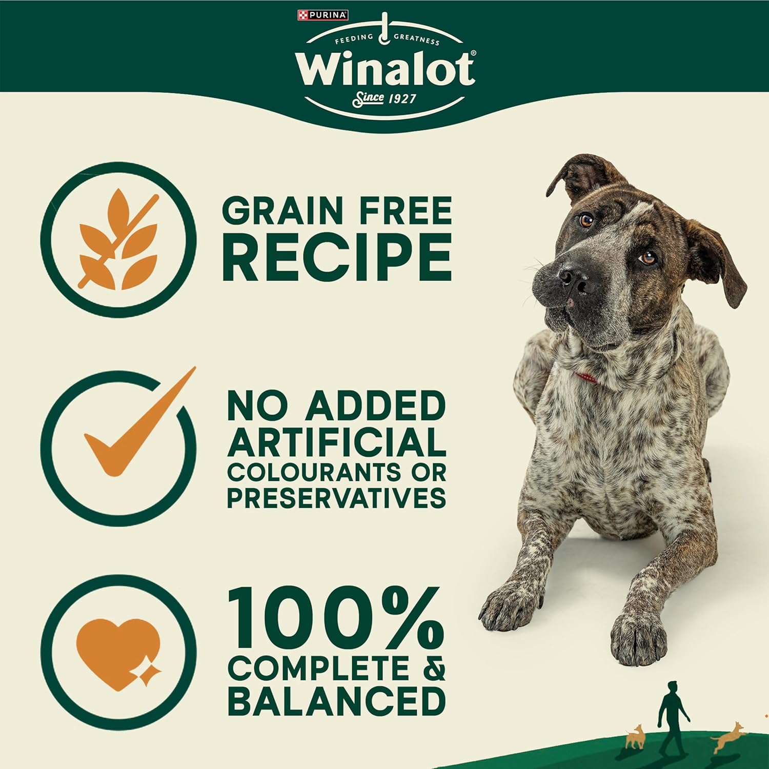 Meaty Chunks in Jelly Wet Dog Food Pouches 40 x 100g – Complete and Balanced Meals for Adult Dogs