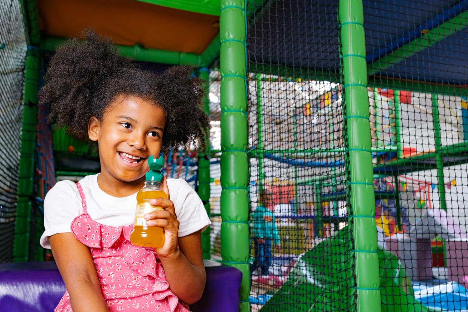 Apple & Blackcurrant Flavoured Drink, 200ml Bottles (Pack of 24)