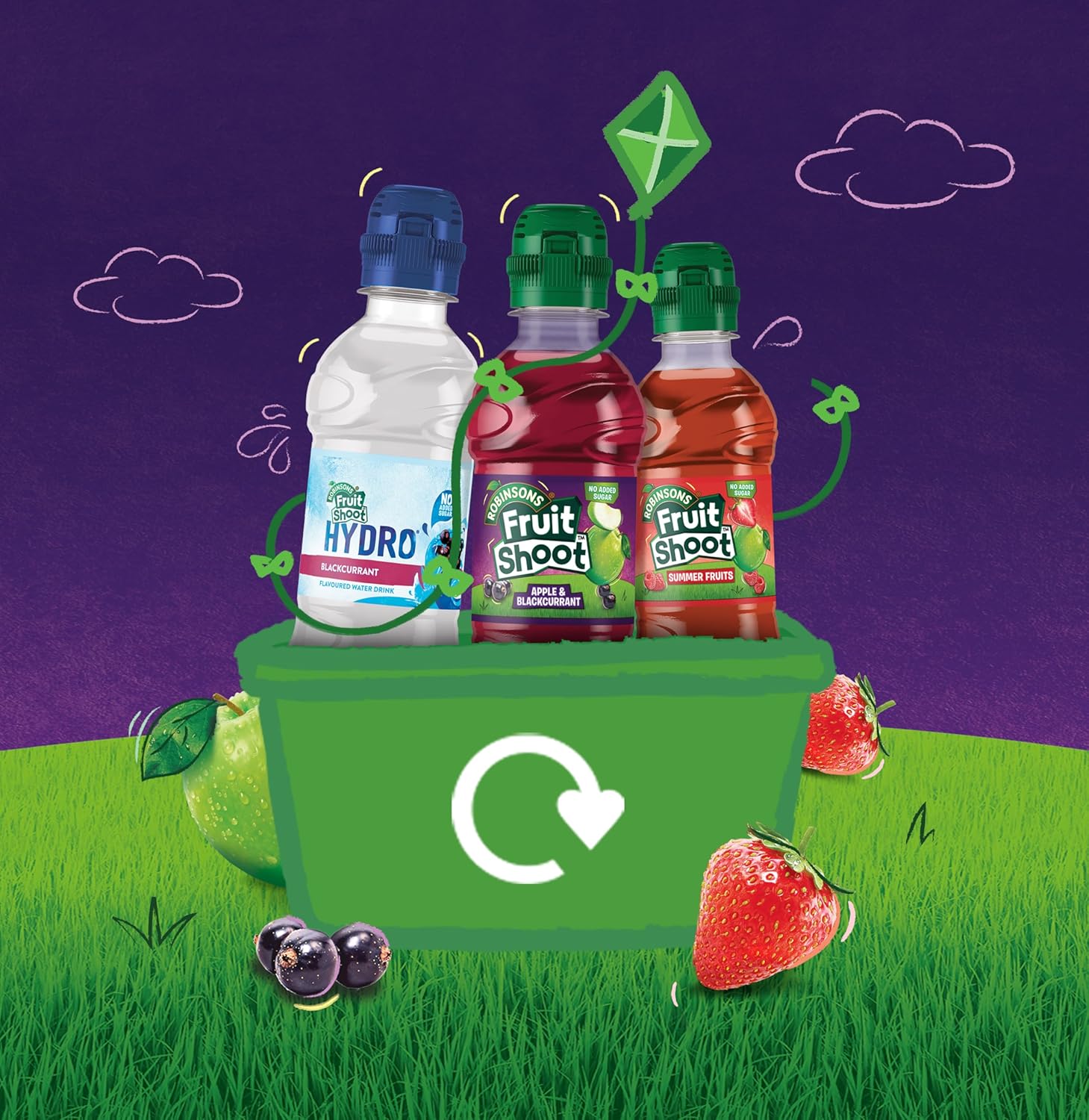 Apple & Blackcurrant Flavoured Drink, 200ml Bottles (Pack of 24)