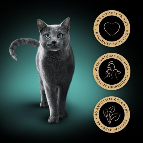 Fine Flakes in Jelly Adult Wet Cat Food, Poultry Collection, 40 x 85g Pouches