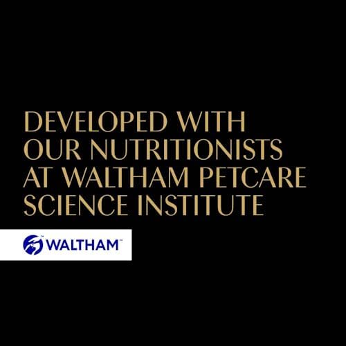 Fine Flakes in Jelly Adult Wet Cat Food, Poultry Collection, 40 x 85g Pouches