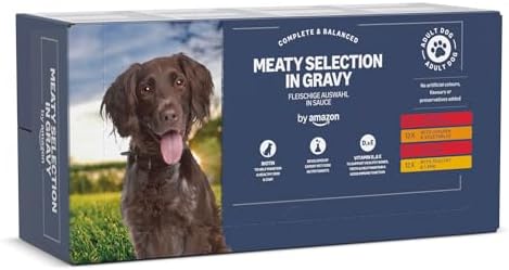 Complete Wet Food for Adult Dogs, Meat Selection in Gravy, 4.8kg (48 x 100g Pouches)