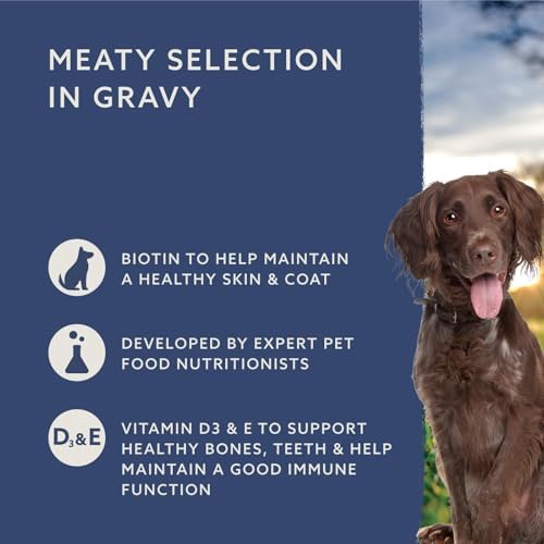 Complete Wet Food for Adult Dogs, Meat Selection in Gravy, 4.8kg (48 x 100g Pouches)