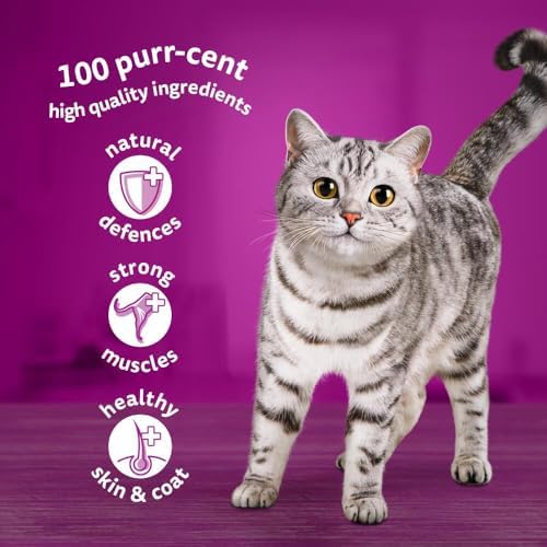 Adult Wet Cat Food Pouches, Poultry Selection in Jelly, 40 x 85g Megapack