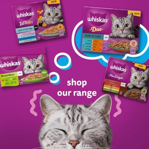 Adult Wet Cat Food Pouches, Poultry Selection in Jelly, 40 x 85g Megapack