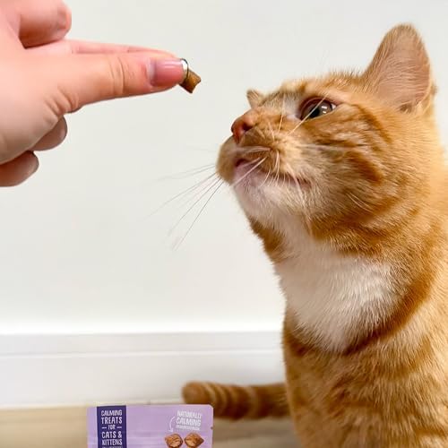 Calming Crunchy Cat Treats